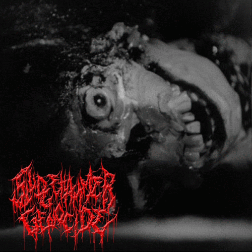 SledgeHammerGenocide : Nervous System Spasms